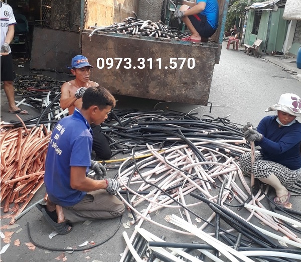 Quy trình thu gom phế liệu chuyên nghiệp của Minh Khang Phát tại Quận 10
